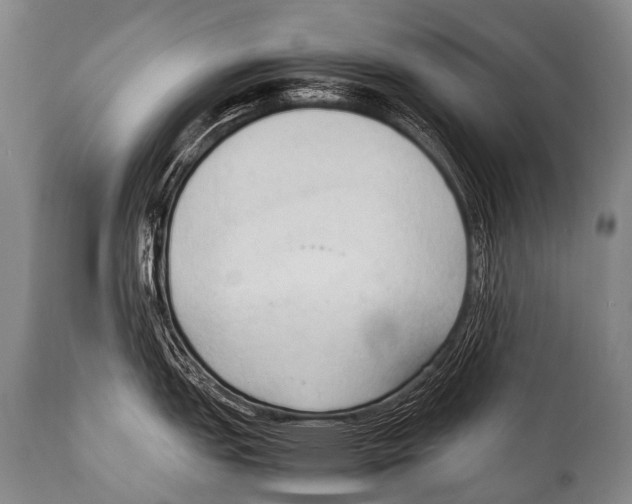 X0000111951151200908241158