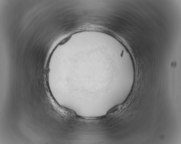 X0000111951152200908241158