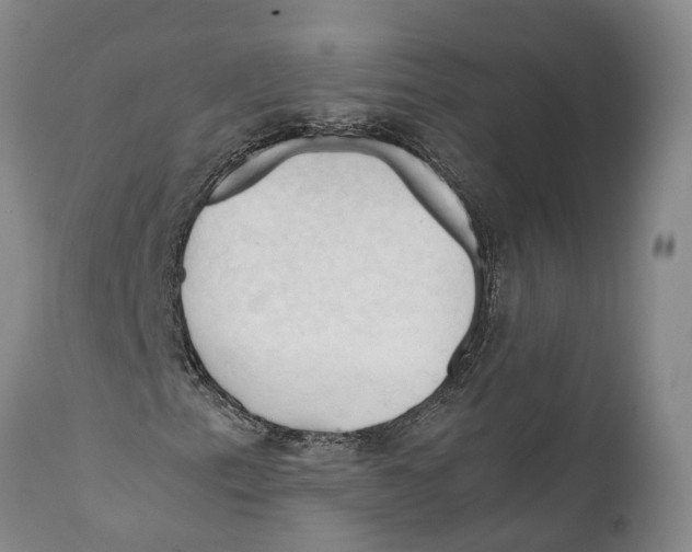 X0000111951153200908241157