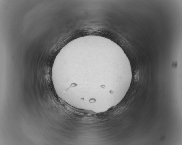 X0000111951156200908241157