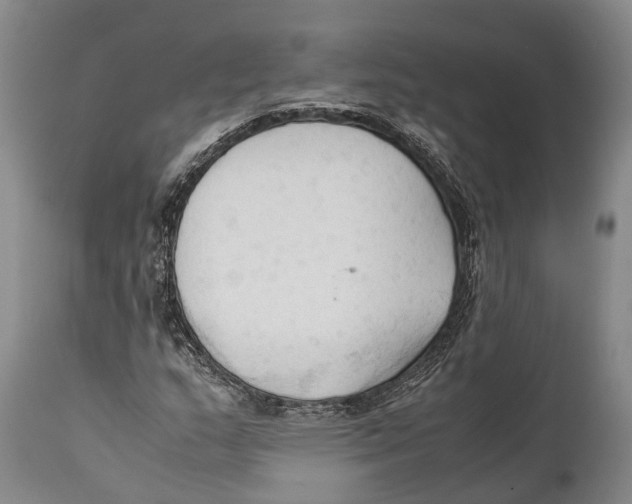 X0000111951159200908241157