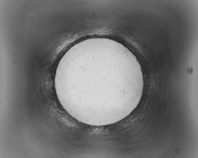 X0000111951160200908241157