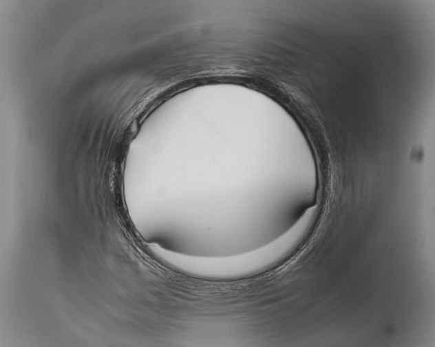 X0000111951161200908241157