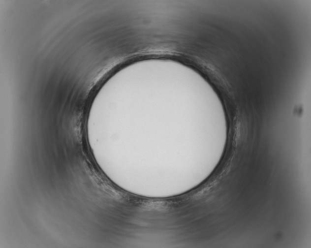 X0000111951162200908241157