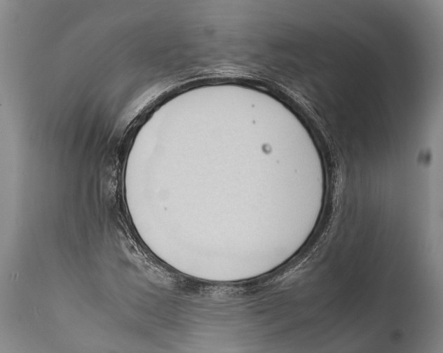 X0000111951163200908241157