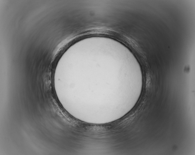 X0000111951164200908241157
