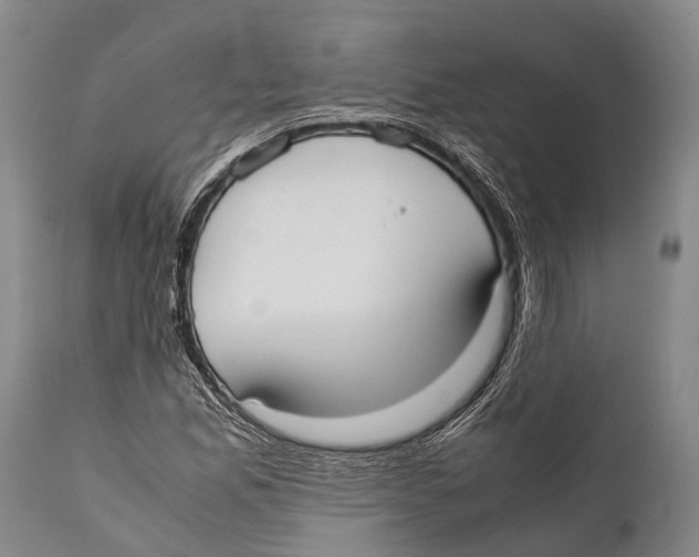 X0000111951165200908241157