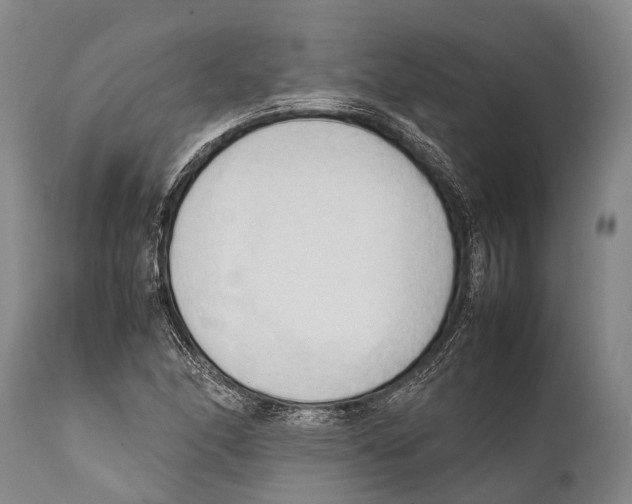 X0000111951166200908241157