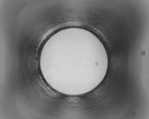 X0000111951168200908241157