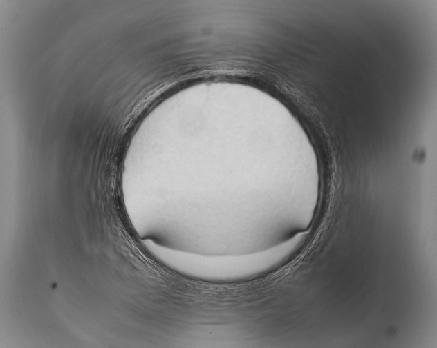 X0000111951169200908241157