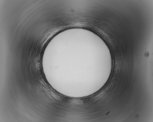 X0000111951170200908241157