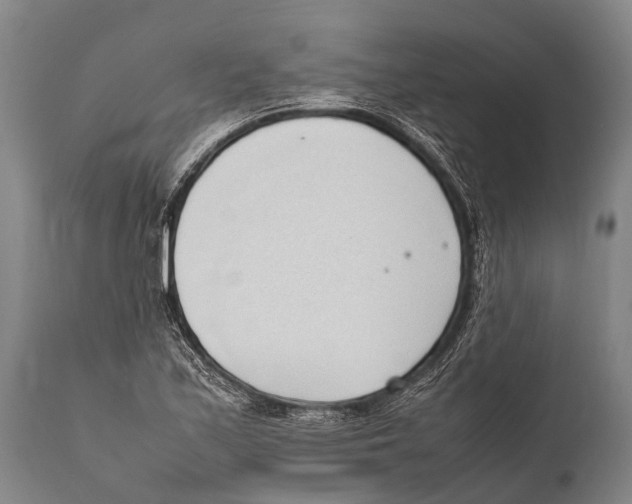 X0000111951171200908241157