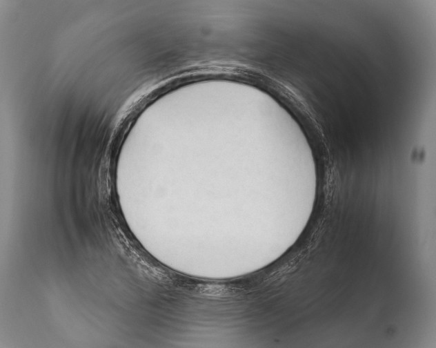 X0000111951172200908241157