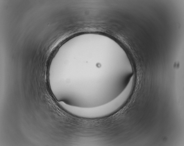 X0000111951173200908241157