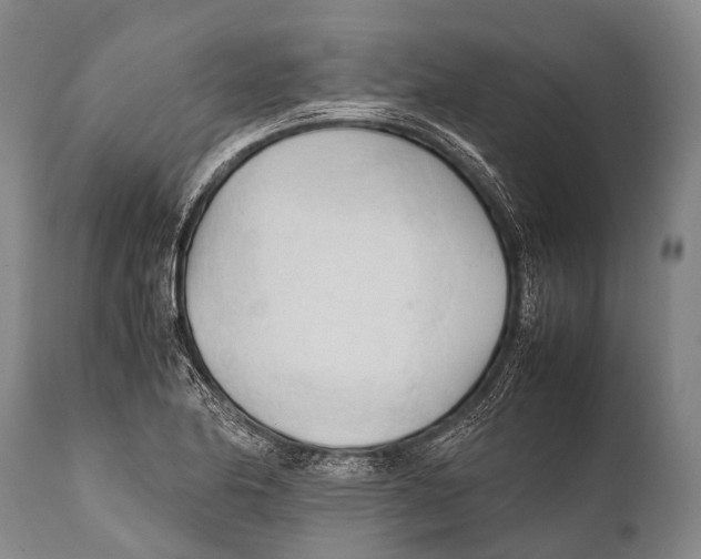 X0000111951174200908241157