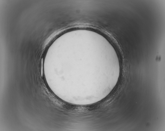 X0000111951175200908241157