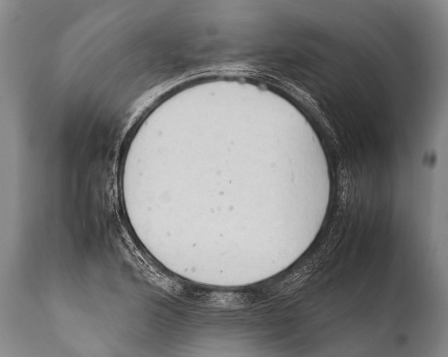 X0000111951176200908241157