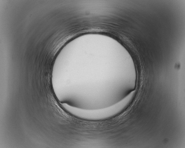 X0000111951177200908241157