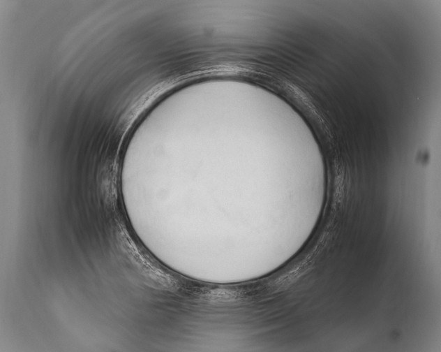 X0000111951178200908241157