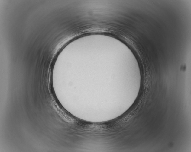 X0000111951179200908241157