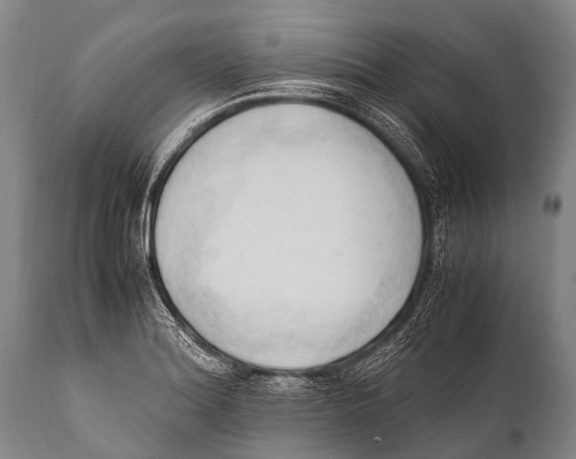 X0000111951180200908241157