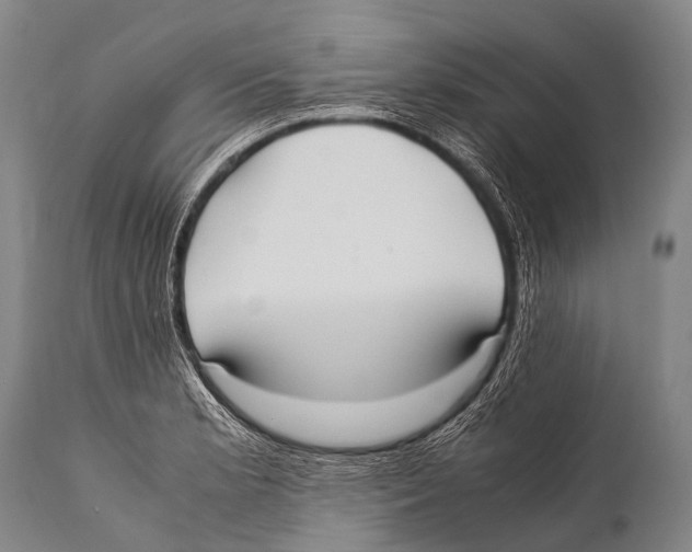 X0000111951181200908241157