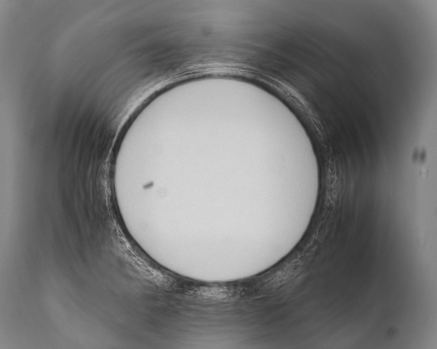 X0000111951182200908241157