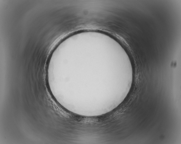 X0000111951183200908241157