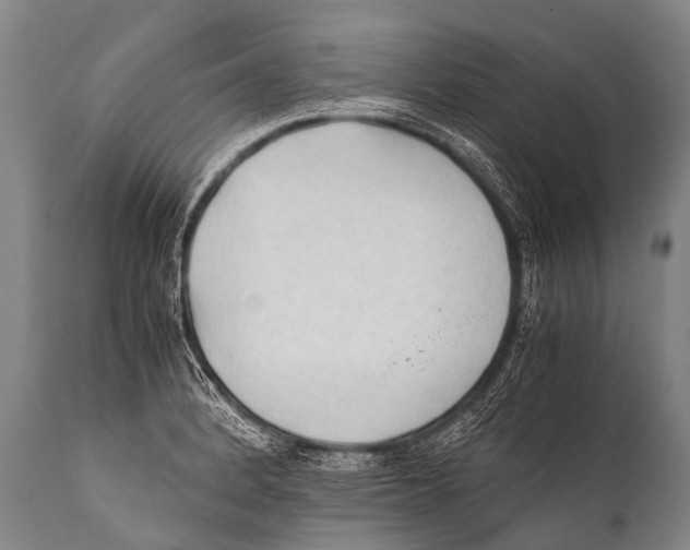 X0000111951184200908241157