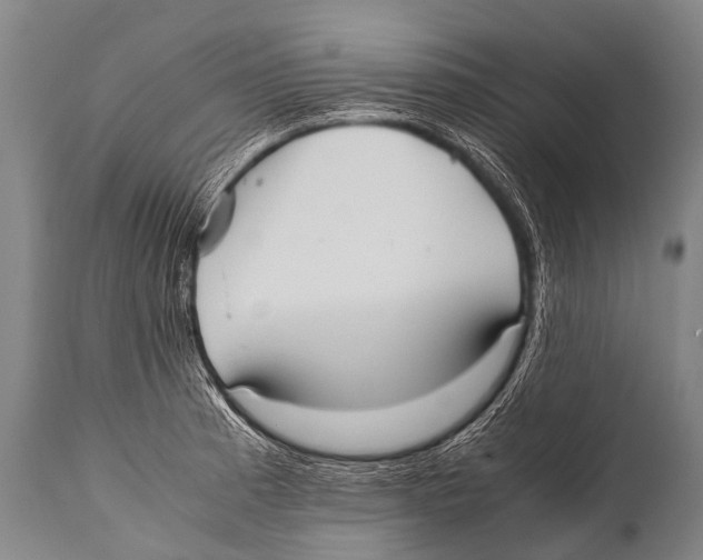 X0000111951185200908241157