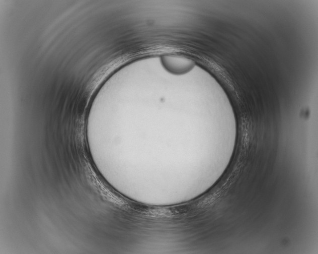 X0000111951186200908241157