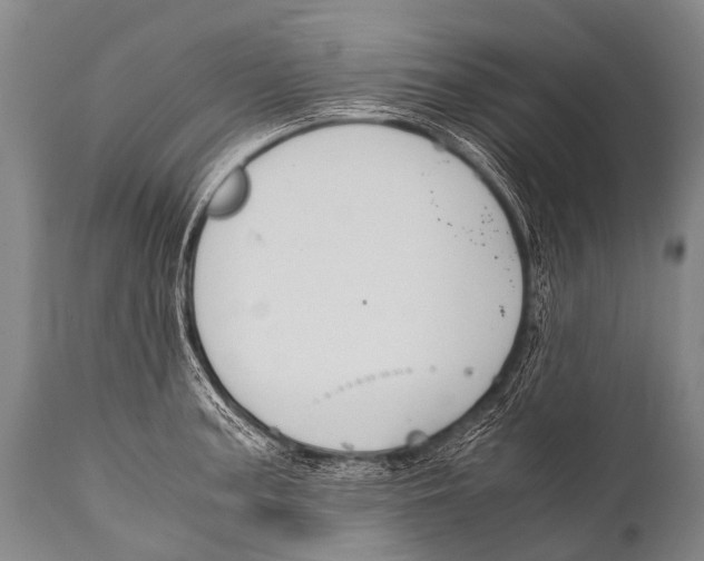 X0000111951187200908241157