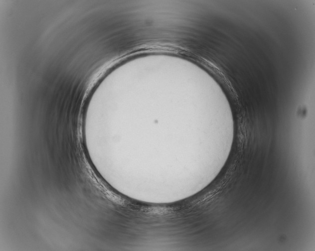 X0000111951188200908241157