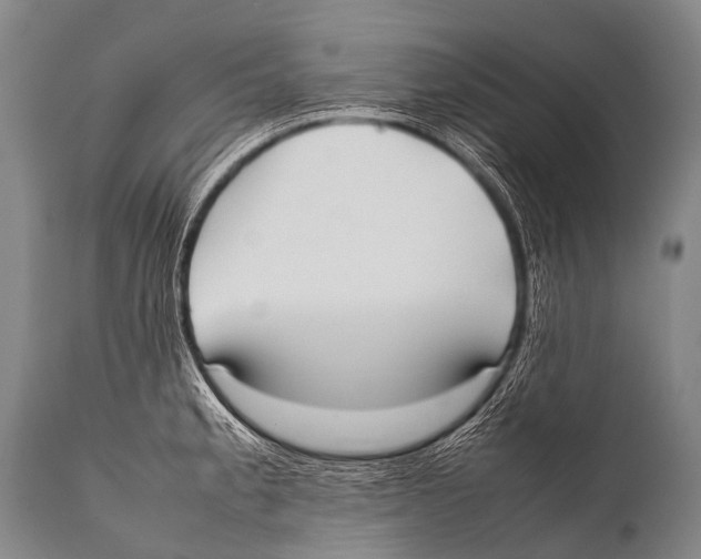 X0000111951189200908241157