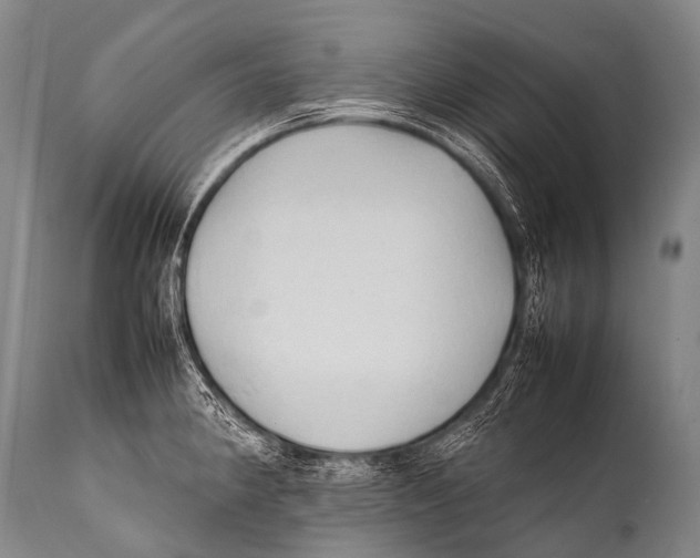 X0000111951190200908241157