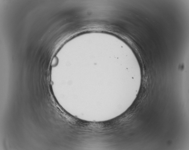 X0000111951191200908241157