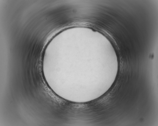 X0000111951192200908241157