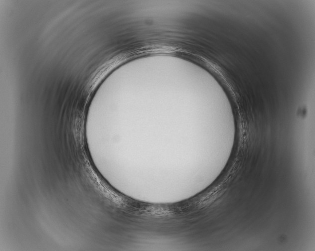 X0000111951194200908241157