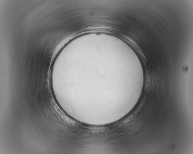X0000111951196200908241157