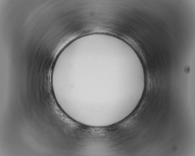 X0000111951198200908241157