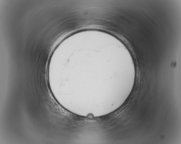 X0000111951199200908241157