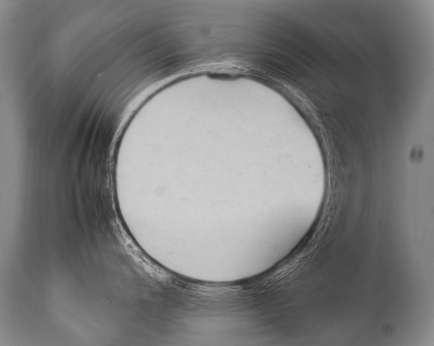 X0000111951200200908241157