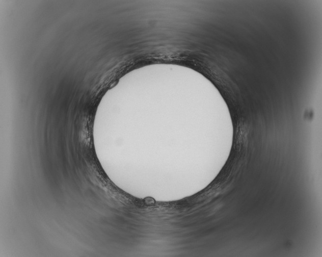 X0000111951202200908241156