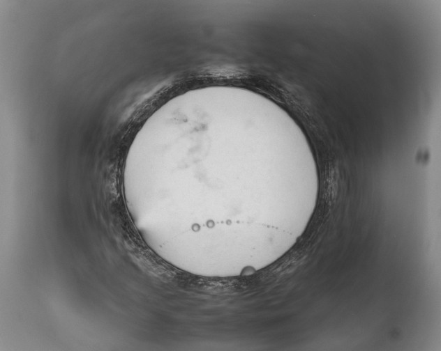 X0000111951205200908241156