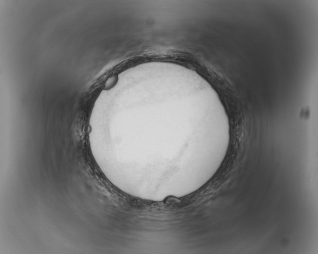 X0000111951206200908241156