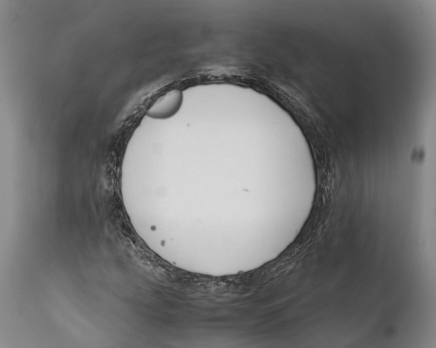 X0000111951207200908241156