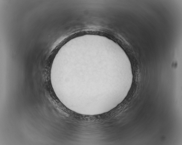 X0000111951208200908241156