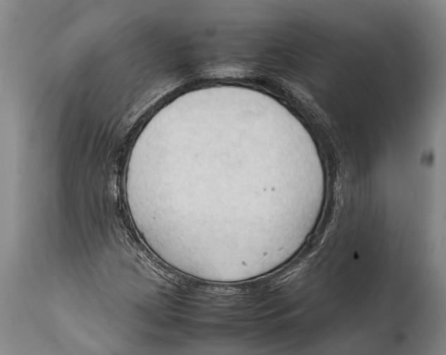 X0000111951209200908241156