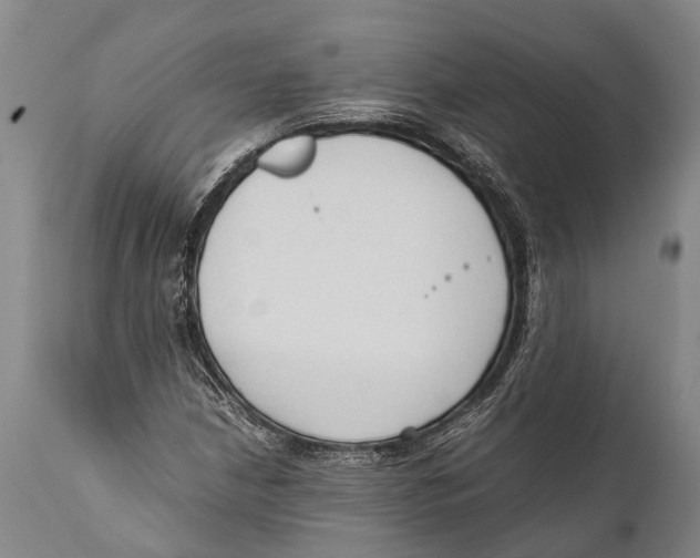 X0000111951210200908241156