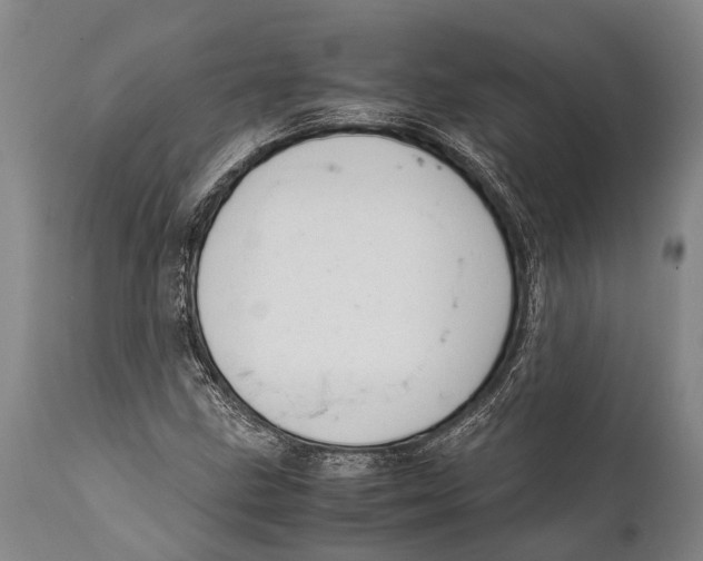 X0000111951211200908241156